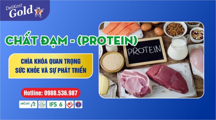 Chất Đạm (Protein) - Chìa Khóa Quan Trọng Của Sức Khỏe Và Sự Phát Triển